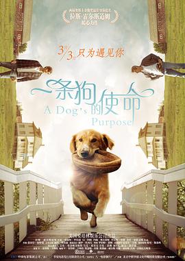欧美午夜一级艳片欧美精品